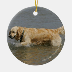 Adorno De Cerámica Golden retriever en agua
