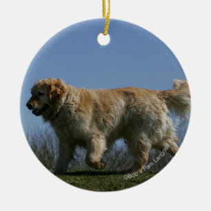 Adorno De Cerámica Golden retriever que corre 3