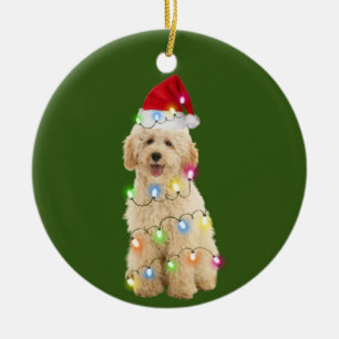 Adorno De Cerámica Goldendoodle Con Navidades Scafés Santa Hat