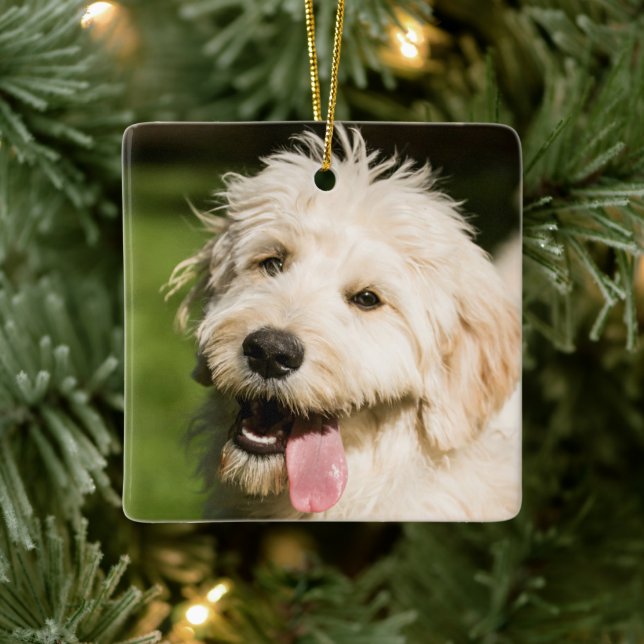 Adorno De Cerámica Goldendoodle Puppy Panting (Árbol)