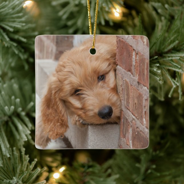 Adorno De Cerámica Goldendoodle Puppy Peeking (Árbol)