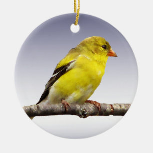 Adorno De Cerámica Goldfinch