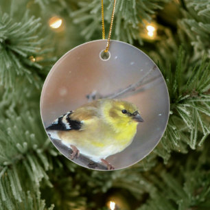 Adorno De Cerámica Goldfinch