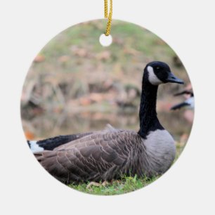 Adorno De Cerámica Goose