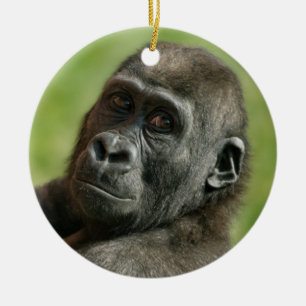 Adorno De Cerámica Gorilla Youngster