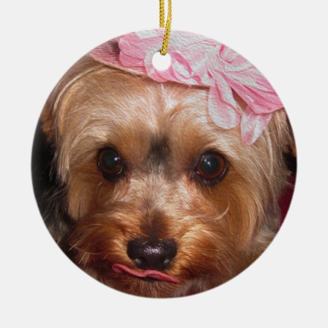 Adorno De Cerámica Gorras cariñosos Yorkie II (Frente)