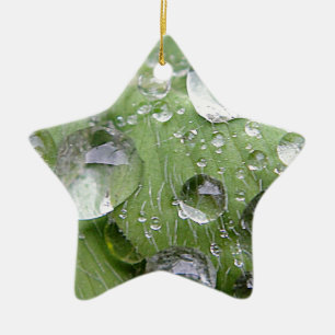 Adorno De Cerámica Gotas de agua en una hoja verde