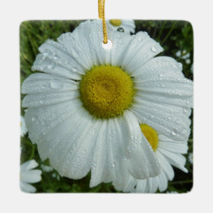 Adorno De Cerámica Gotas de lluvia en Daisy I Floral