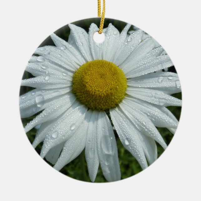 Adorno De Cerámica Gotas de lluvia en la flor de margarita II (Frente)