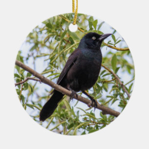 Adorno De Cerámica Grackle común
