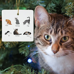 Adorno De Cerámica Gráfico de Entrenamiento de Comandos de Gatos Dive