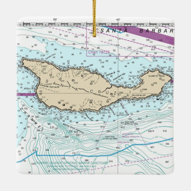 Adorno De Cerámica Gráfico de Isla Santa Cruz (Reverso)