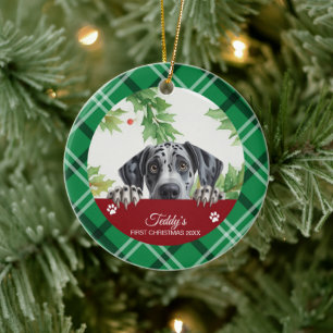Adorno De Cerámica Gran Danés Primera Navidad Personalizada