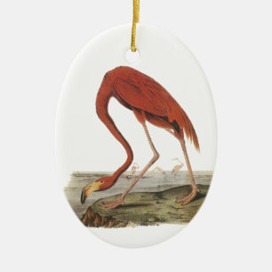 Adorno De Cerámica Gran flamenco, John Audubon
