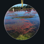 Adorno De Cerámica Granja de Cranberry, Long Beach, Washington<br><div class="desc">Vista de arándanos sobrantes que aún no han sido cosechados de un blog en una granja de arándanos en Long Beach,  Washington. Foto tomada en octubre de 2017.</div>