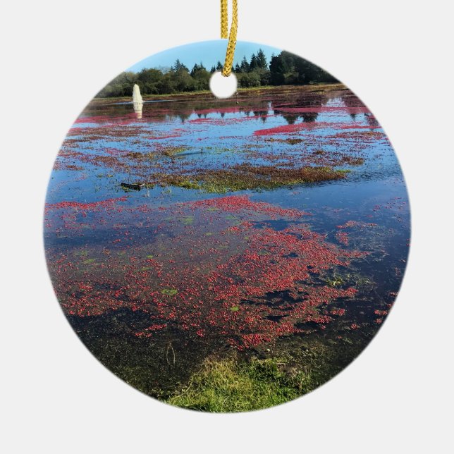 Adorno De Cerámica Granja de Cranberry, Long Beach, Washington (Frente)