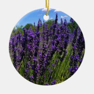 Adorno De Cerámica Granja de lavanda