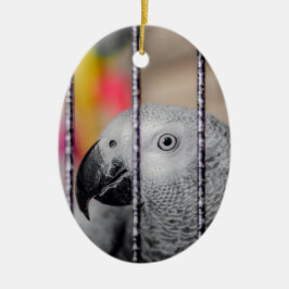 Adorno De Cerámica Gray Parrot