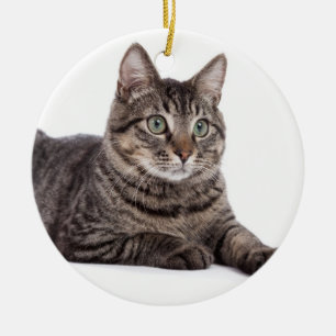Adorno De Cerámica Gray Tabby Cat