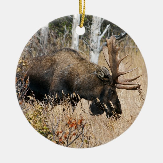 Adorno De Cerámica Grazing Bull Moose (Frente)