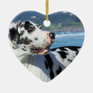 Adorno De Cerámica Great dane - Harlequin - duende
