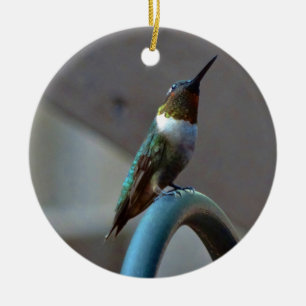 Adorno De Cerámica Green Ruby little Hummingbird