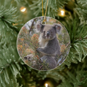 Adorno De Cerámica Grevillea Koala Bear,