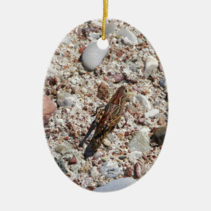 Adorno De Cerámica Grillo de Jiminy