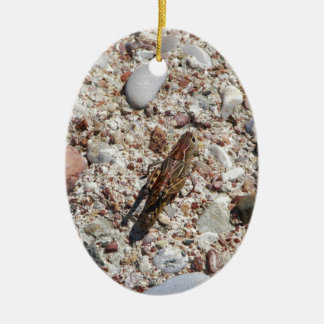 Adorno De Cerámica Grillo de Jiminy