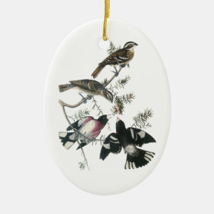 Adorno De Cerámica Grosbeak con pecho Rosa de Audubon