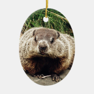 Adorno De Cerámica Groundhog