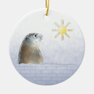 Adorno De Cerámica Groundhog congelado