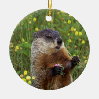 Adorno De Cerámica Groundhog Pose
