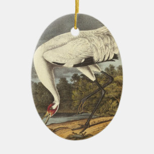 Adorno De Cerámica Grúa que chilla, Juan Audubon