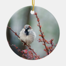 Adorno De Cerámica Grump Fluffy