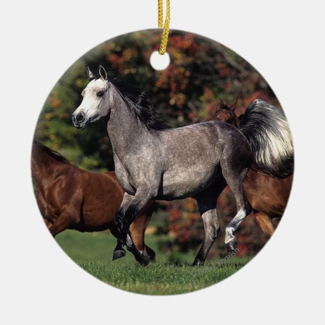 Adorno De Cerámica Grupo de funcionamiento árabe de los caballos (Frente)