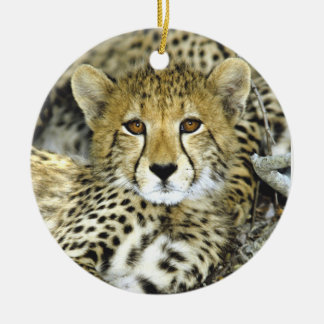 Adorno De Cerámica Guepardo Cub 2