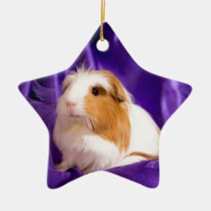 Adorno De Cerámica Guinea pig