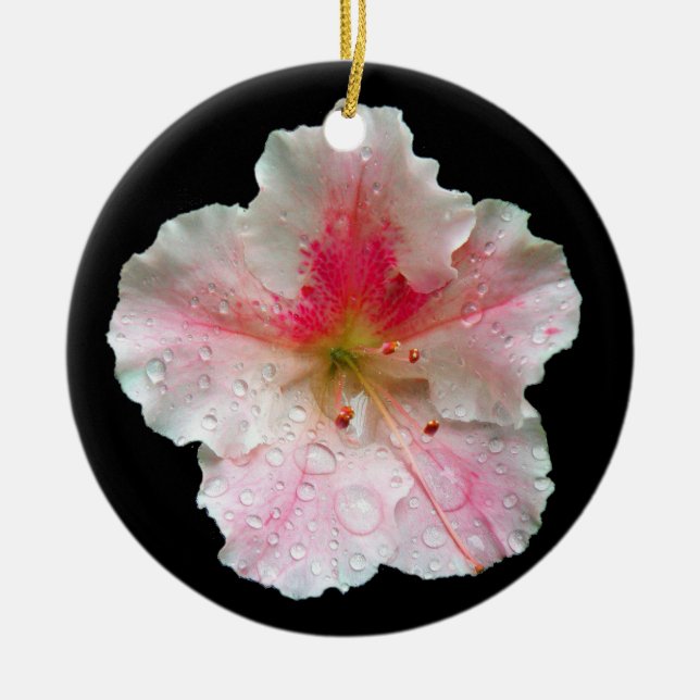 Adorno De Cerámica 'Gumpo rosa Azalea' (Frente)