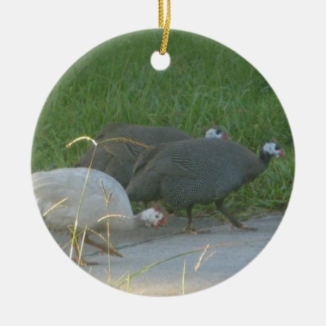 Adorno De Cerámica Guniea Fowl Ornament (Frente)