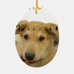 Adorno De Cerámica Hakuna Matata Sé lo que estás pensando pinctur