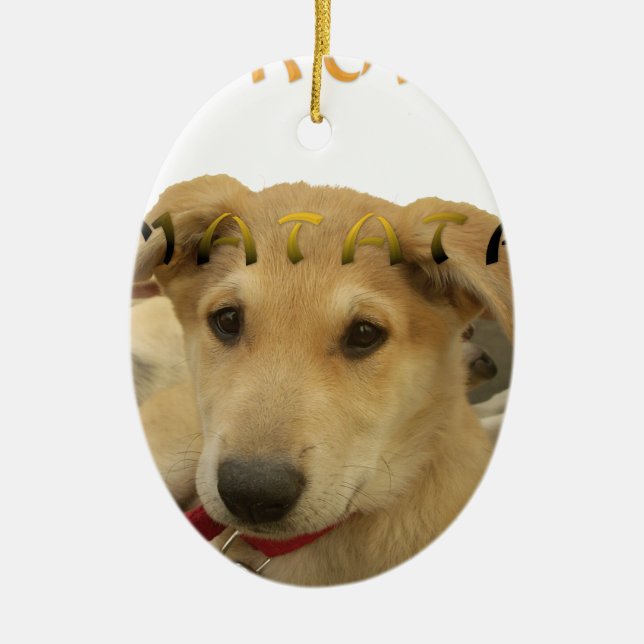 Adorno De Cerámica Hakuna Matata Sé lo que estás pensando pinctur (Frente)