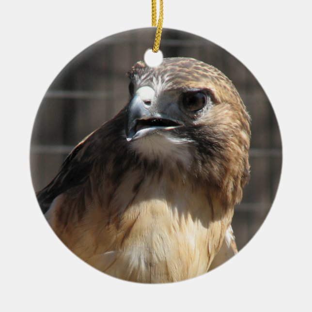 Adorno De Cerámica Halcón/ornamento atados rojo del halcón (Frente)