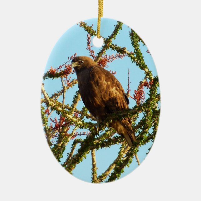 Adorno De Cerámica Halcón rojo inmaduro en Ocotillo Bush (Frente)