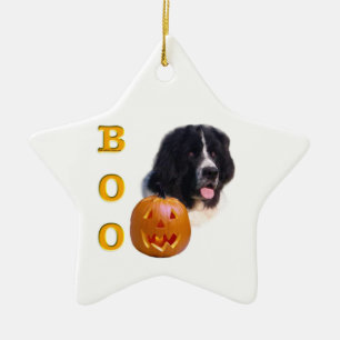 Adorno De Cerámica Halloween Boo de Terranova