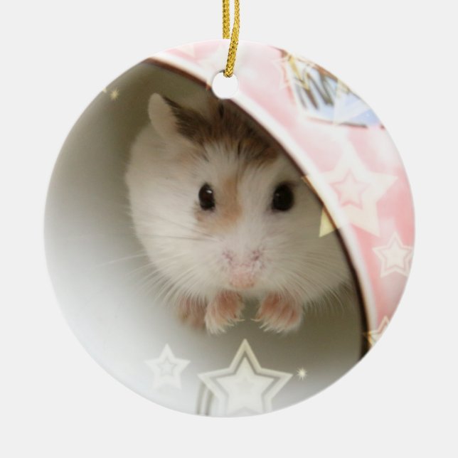 Adorno De Cerámica Hammyville - Cute Hamster (Frente)