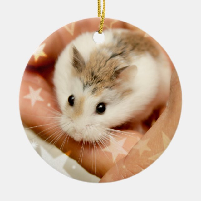 Adorno De Cerámica Hammyville - Cute Hamster (Frente)
