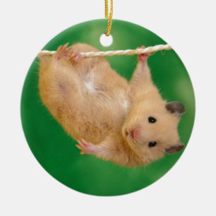 Adorno De Cerámica hampster tonto