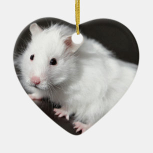 Adorno De Cerámica Hámster del oso de peluche