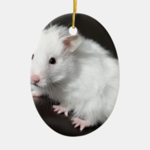 Adorno De Cerámica Hámster del oso de peluche